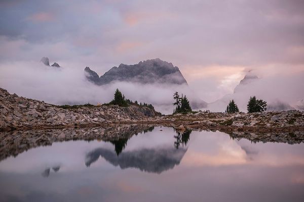Jaynes Gallery 아티스트의 USA-Washington-Alpine Lakes Wilderness-Sunrise on Tank Lake작품입니다.